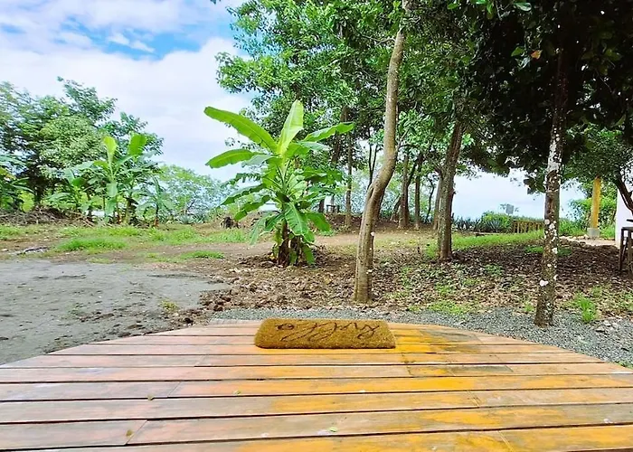 Beautiful Oceanfront Cabin! Apartment